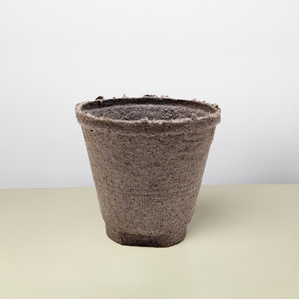 Cow Pot