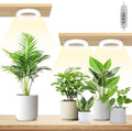 LORDEM 6.3” Ceiling Grow Lamp for Indoor Plants, 216 LEDs Full Spectrum Halo Plant Light, Under Cabinet Grow Lights with 4/8/12H Auto Timer, 3 Switch Modes, 4 Dimmable Brightness Levels, Tri Head