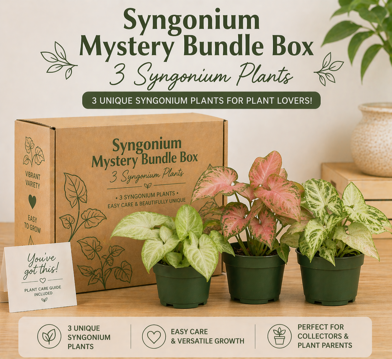 Syngonium Mystery Bundle Box - 3 Syngonium Plants