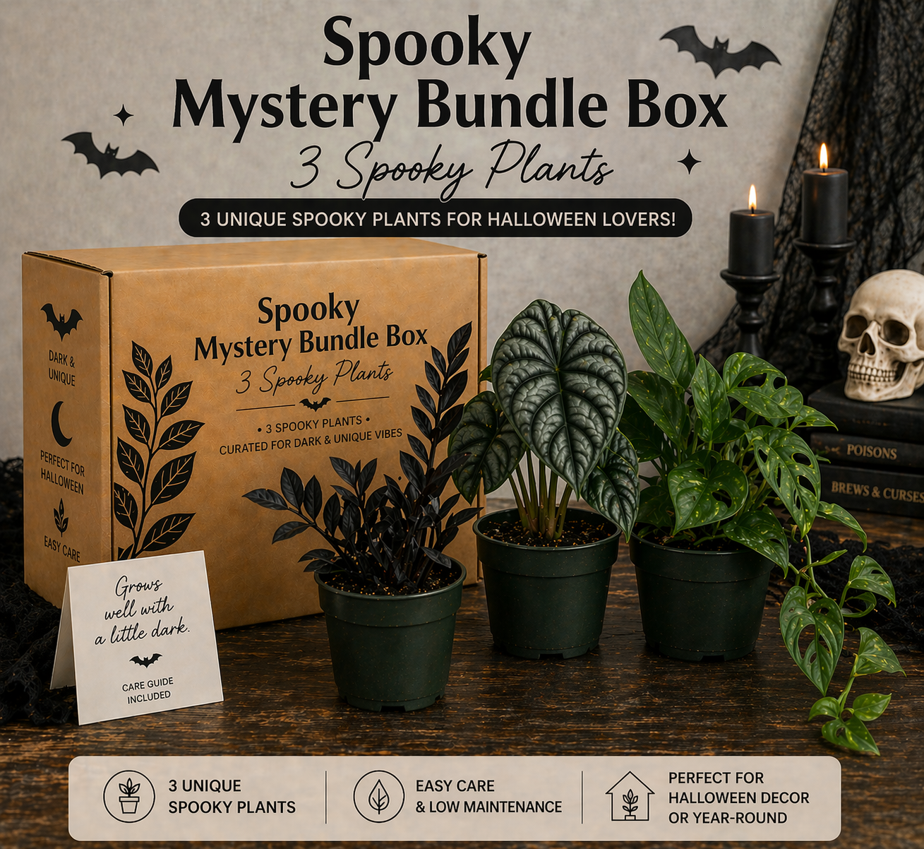 Spooky Mystery Bundle Box - 3 Spooky Plants